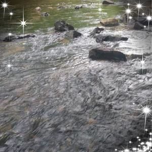 Meet your Posher, Jenny